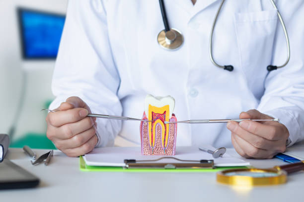 Best Dental Abscess Treatment in Orleans, VT